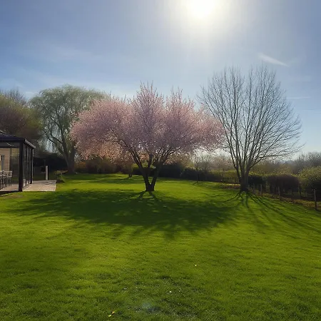 Quiet And Good Location Peltre